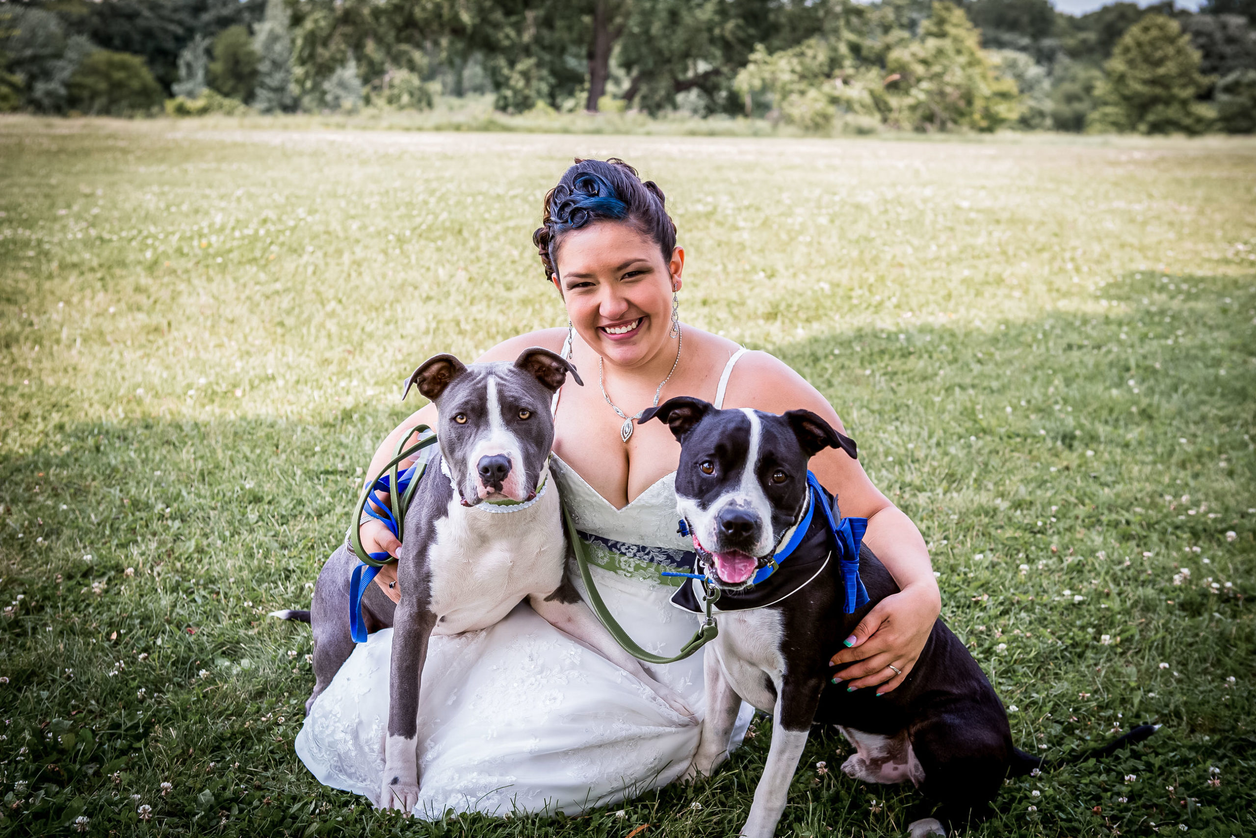 Battle Creek Park Wedding bride with dog