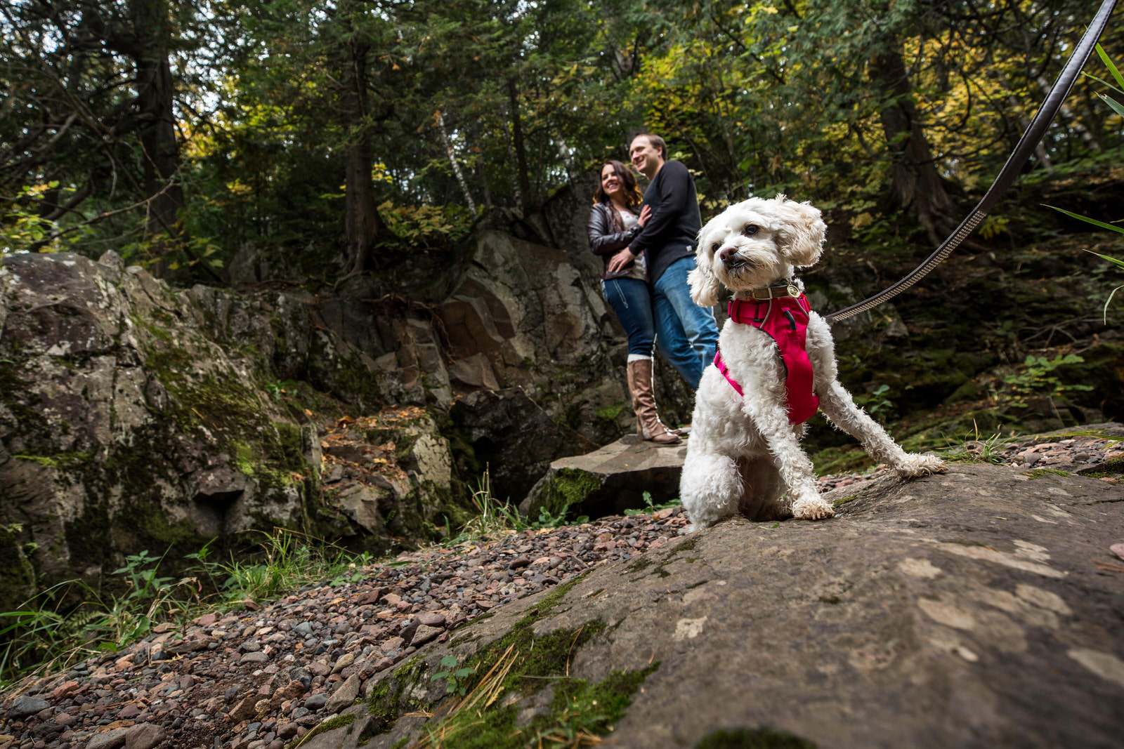 Gooseberry Falls Engagement Session pup family photo