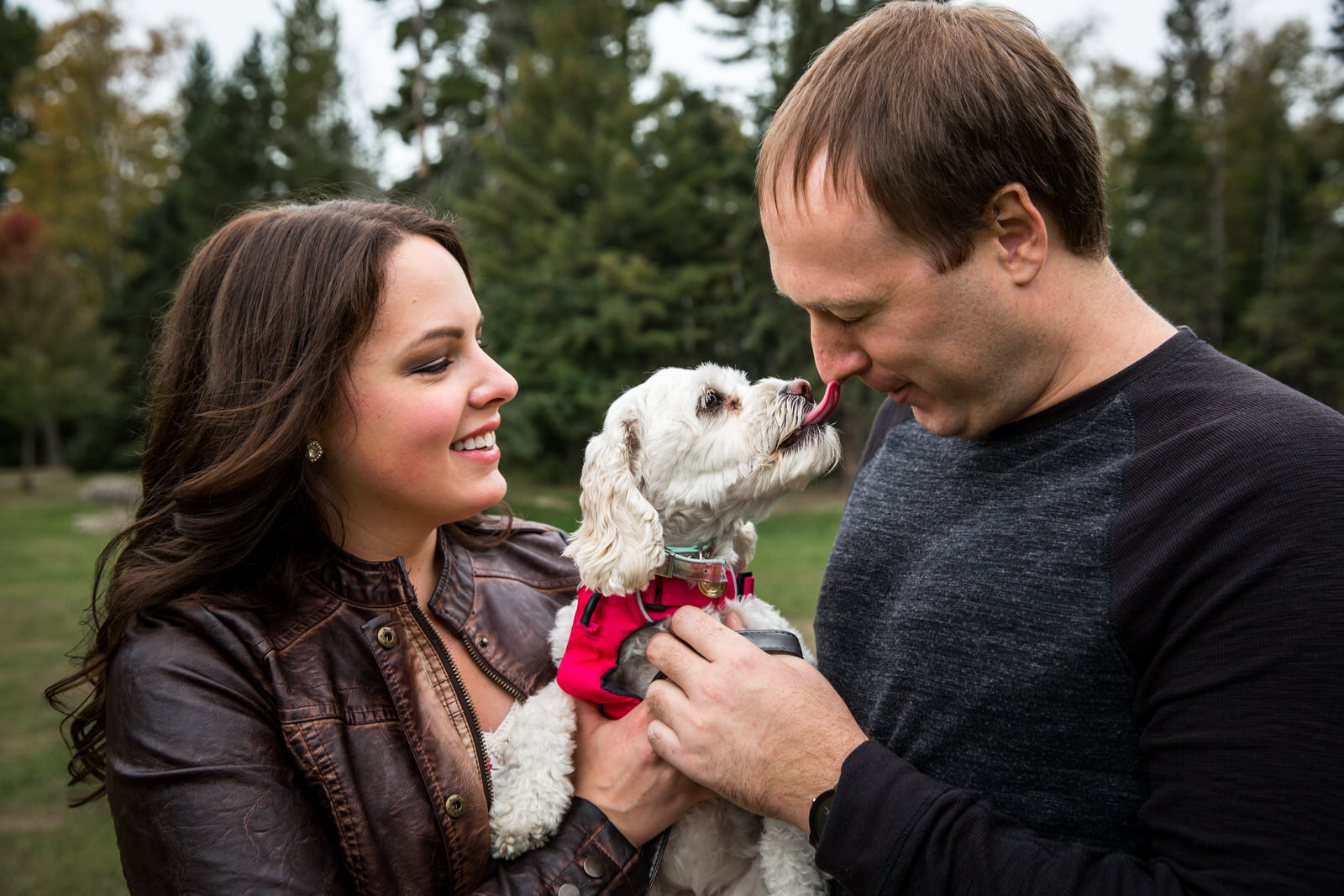 Gooseberry Falls Engagement Session puppy gives kisses