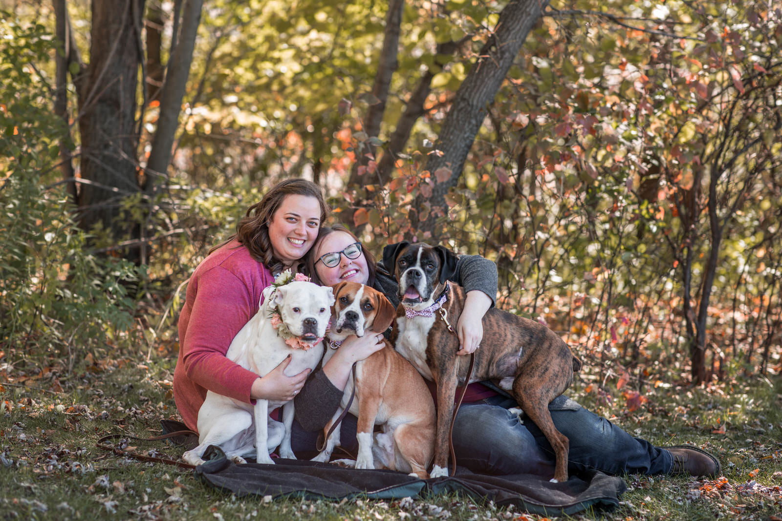 Park Engagement Session family photo with three dogs