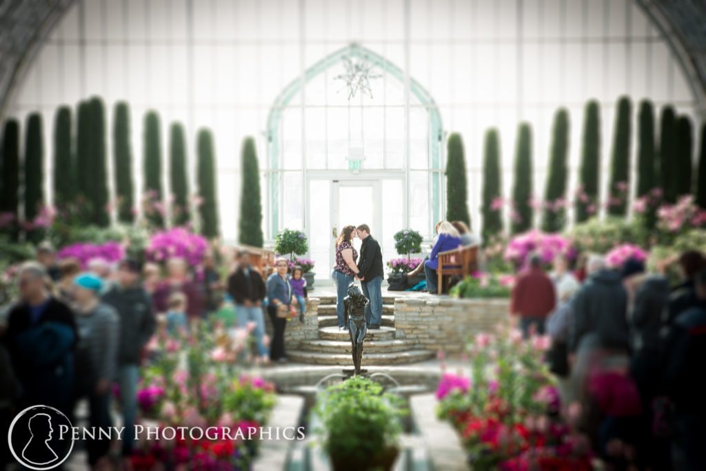 Como Conservatory Engagement standing in a sea of people