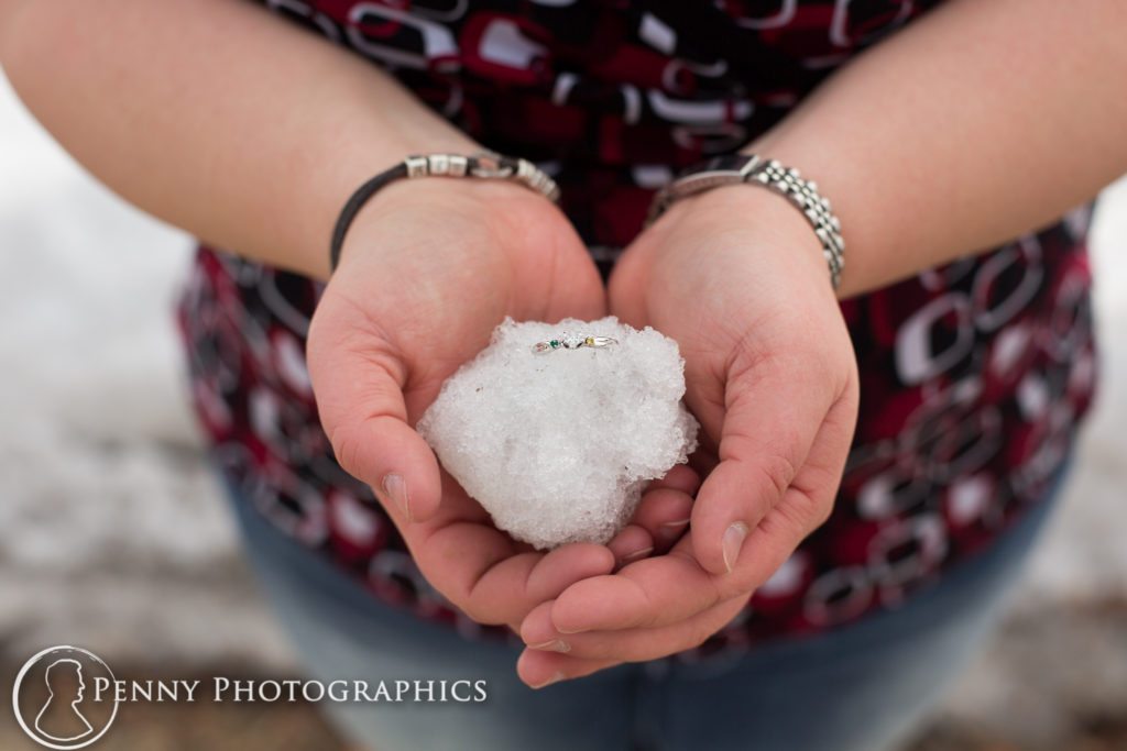 Como Conservatory Engagement engagement ring in a snowball
