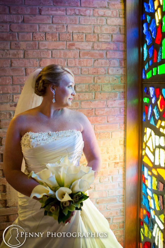 Earle Brown Center Wedding bridal portrait in stained glass