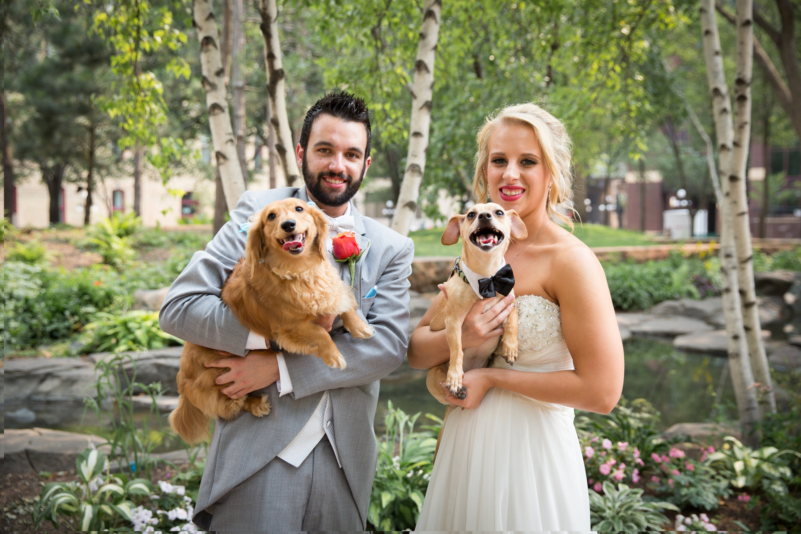 Bride and Groom holding their dogs