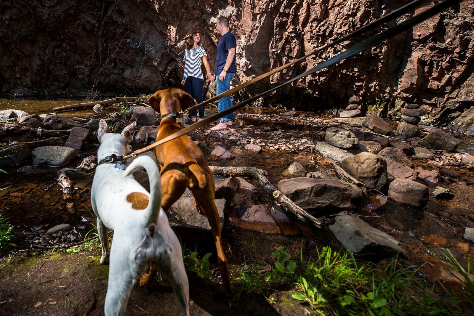 Duluth Summer Engagement Session puppies watching their happy family
