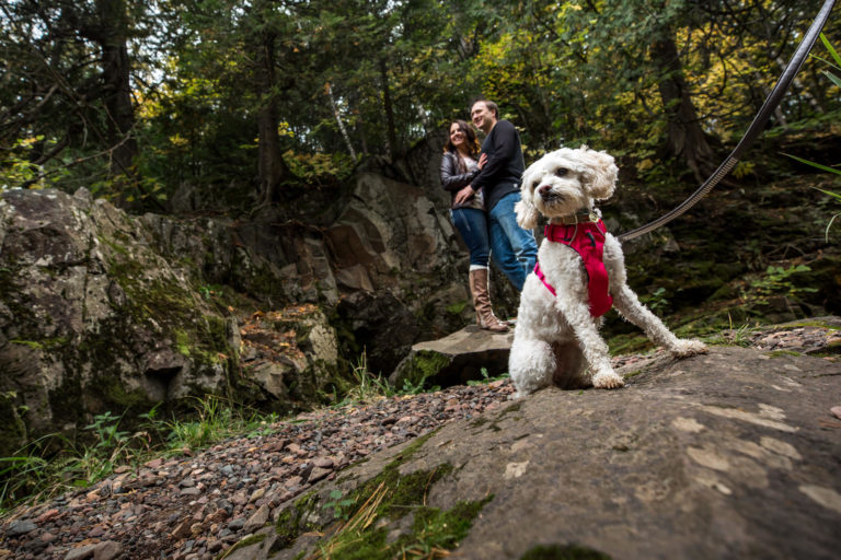 Gooseberry Falls Engagement Session | Samantha & Chris