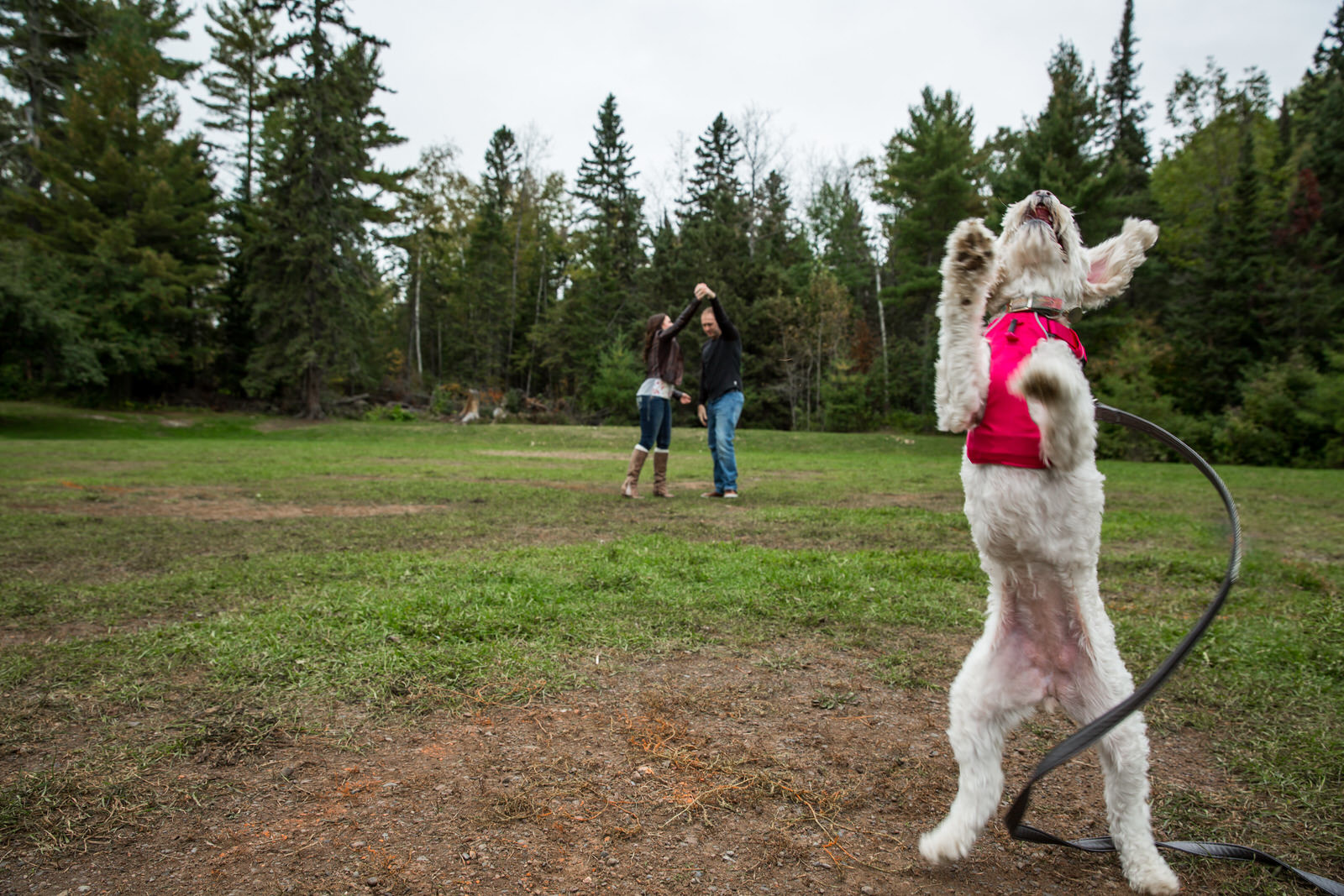 Gooseberry Falls Engagement Session couple and puppy dancing