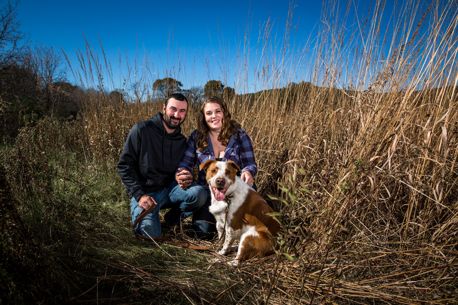 Lodi Engagement Session family photo in field