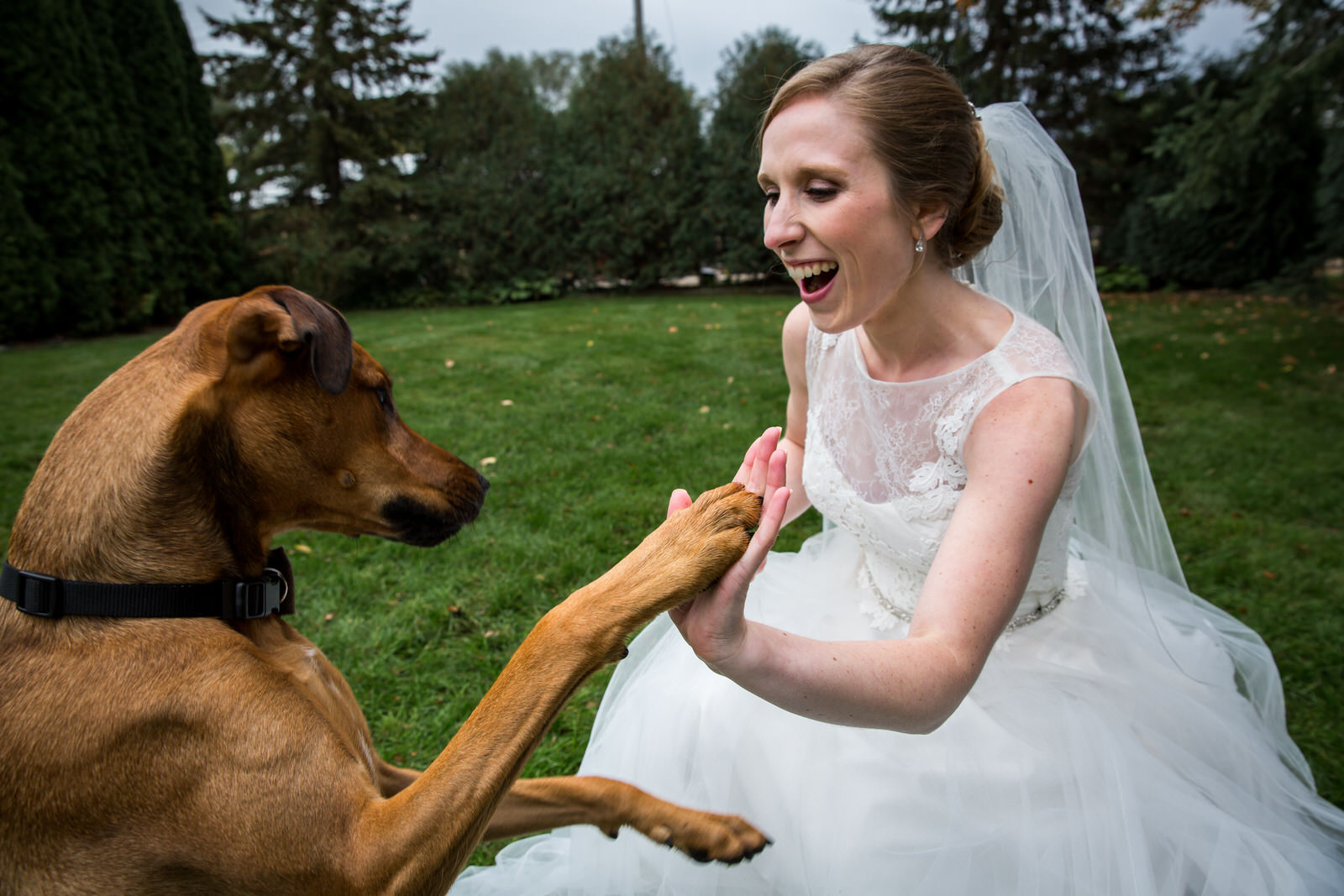 Dogs in Weddings | Penny Photographics