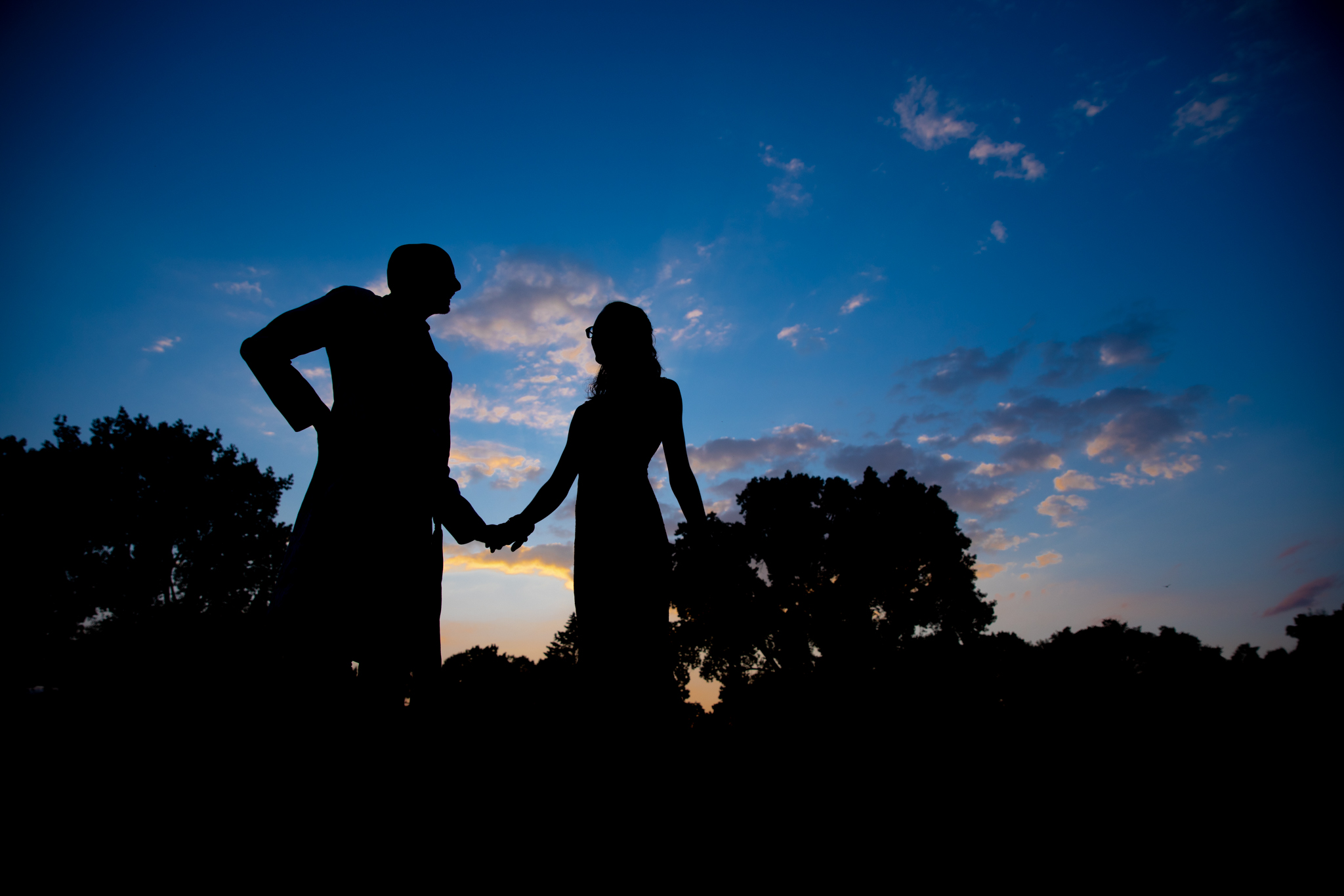 Sri Venkateswara Temple Wedding | Allison & Bala