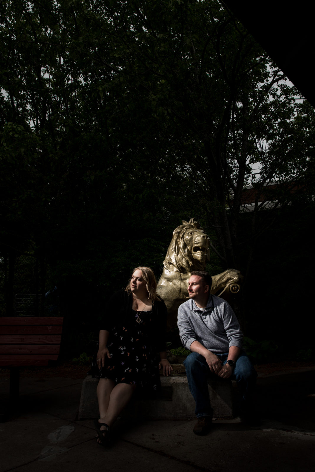 Lion at the front of Lake Superior Zoo Engagement Session