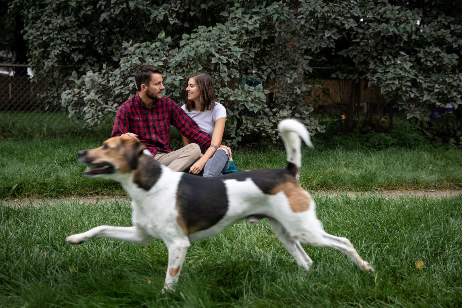 puppy photo bomb in-home engagement session