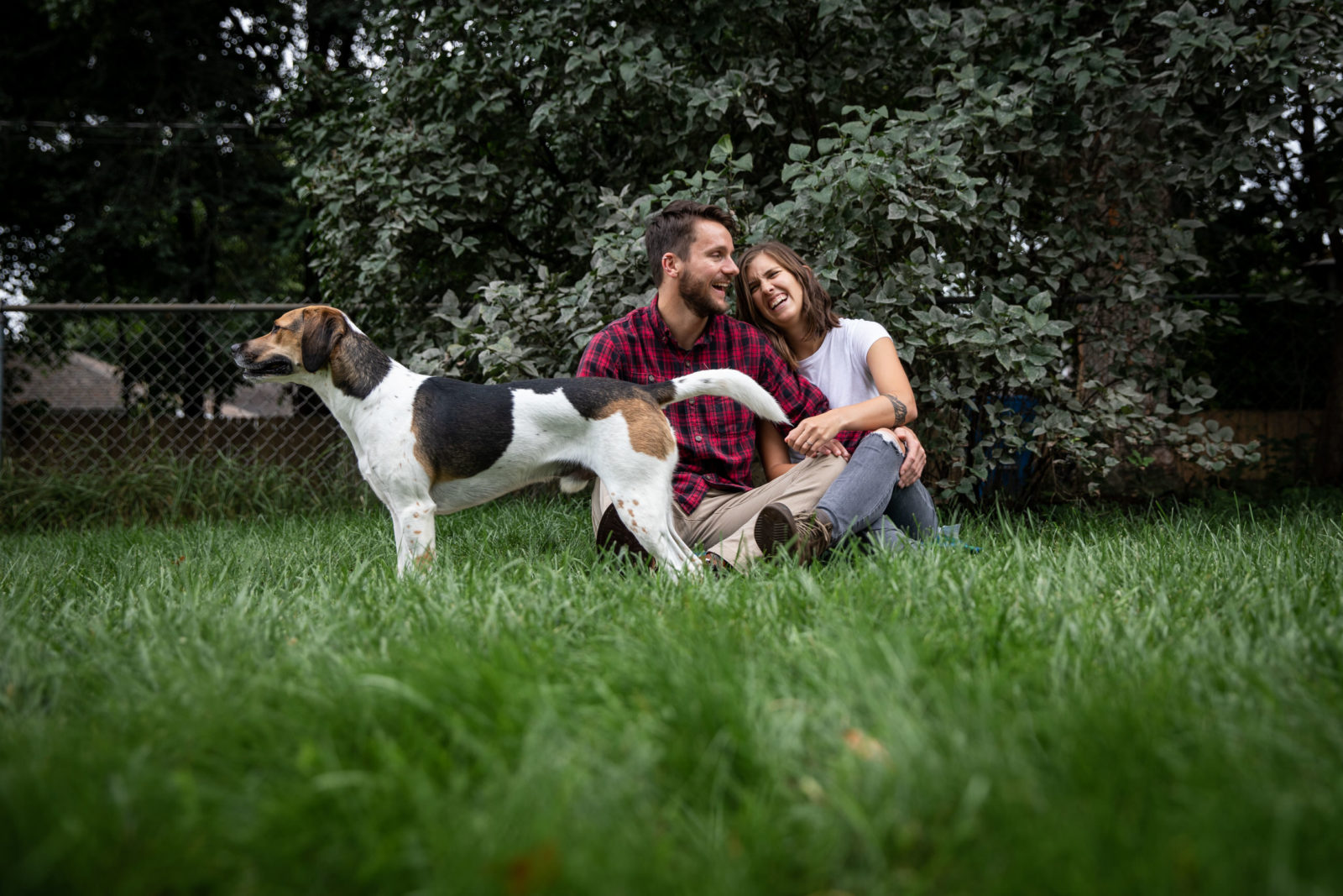 puppy photobomb in-home engagement session