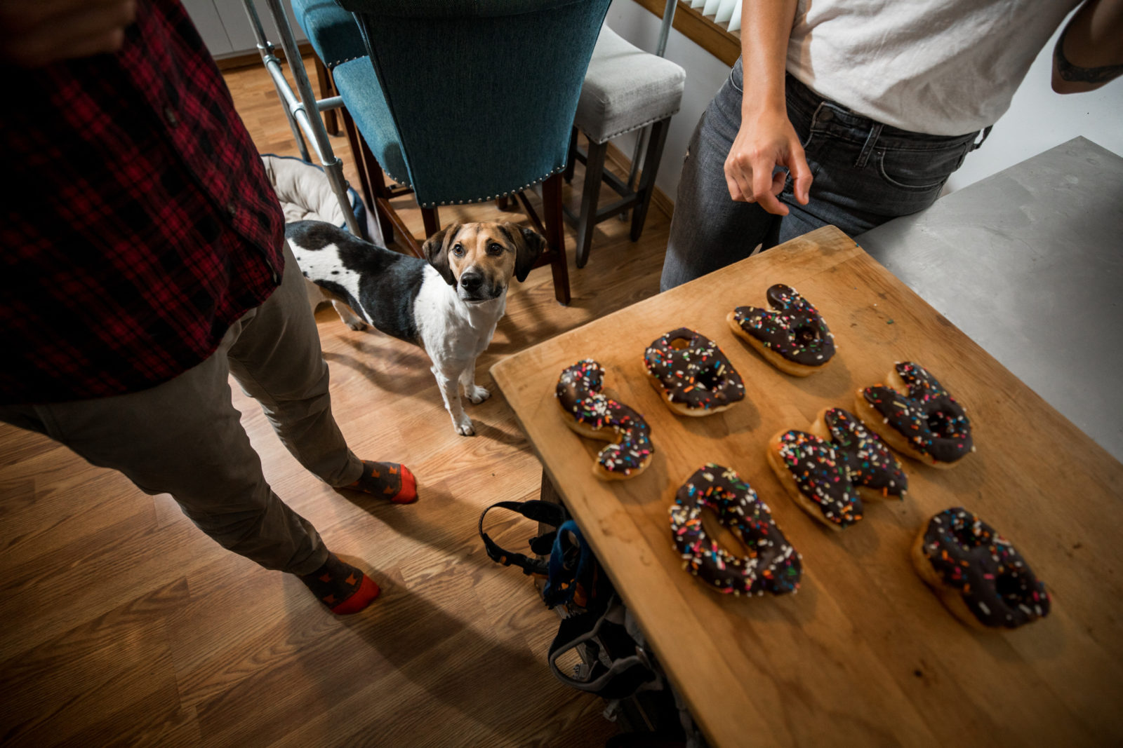 donuts and puppy in-home engagement session