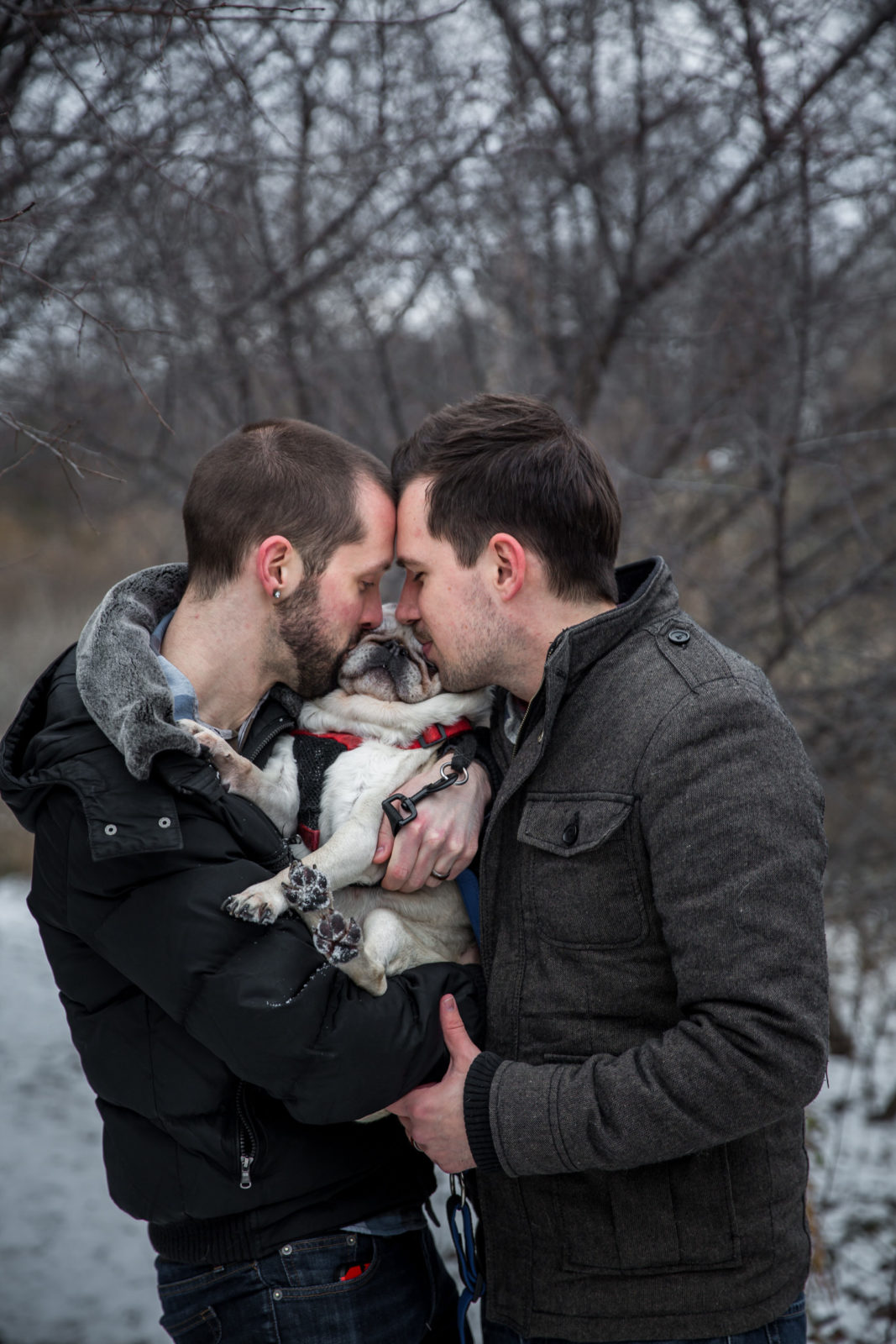 dogs in your engagement session