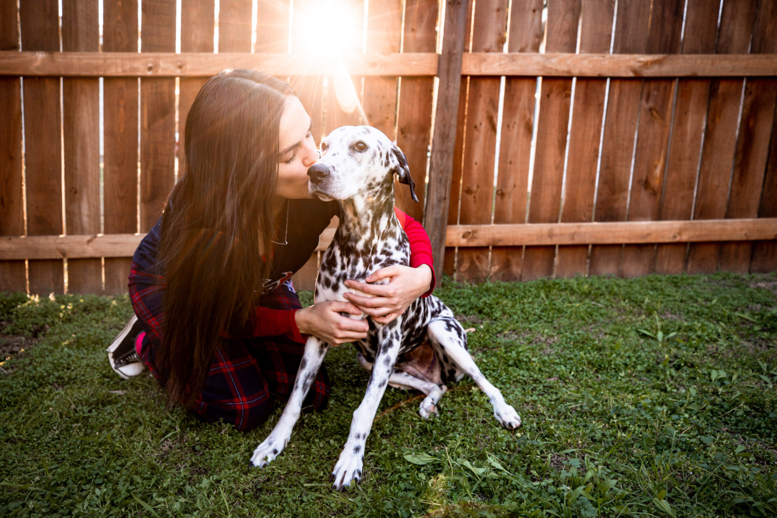 How to include your dogs in your engagement session!