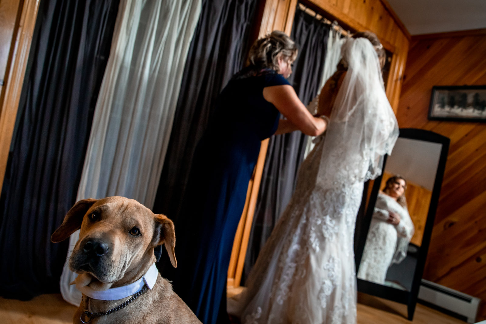 bride getting ready with dog Brule River Barn Wedding