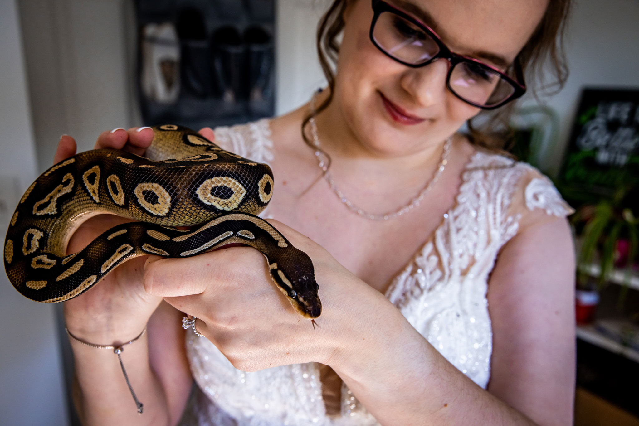 snake at wedding