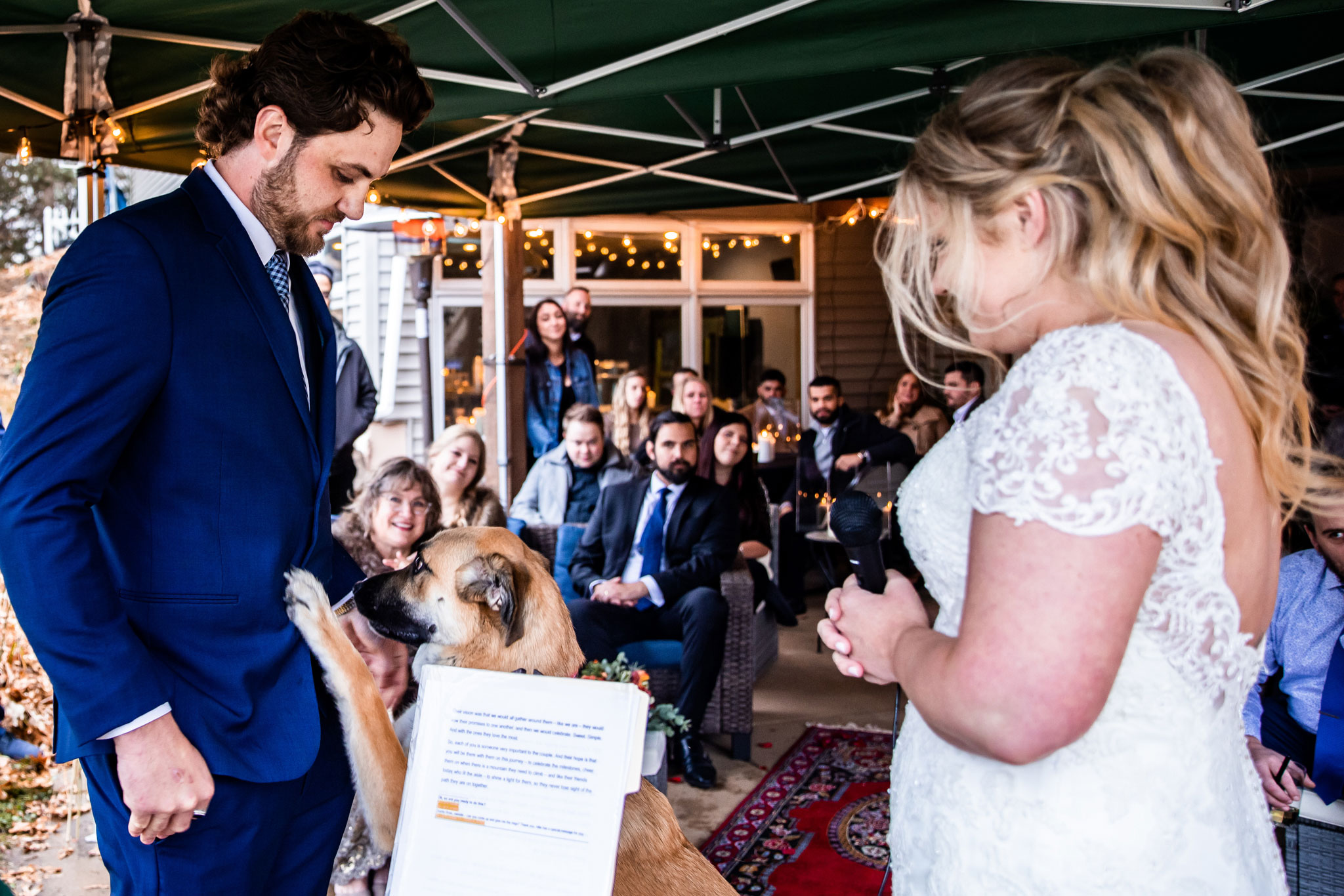 Including dogs in Weddings