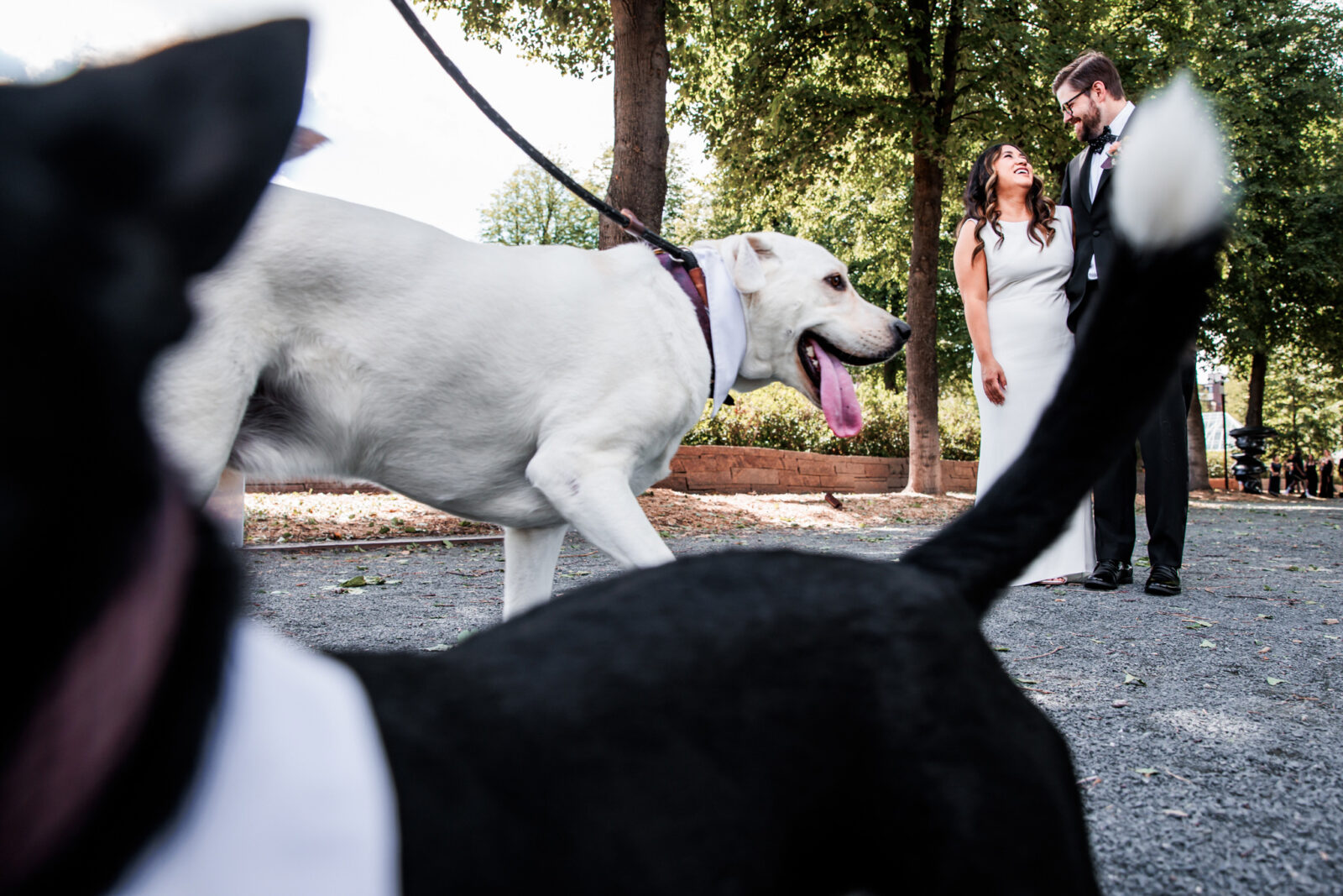 Copper Hen Kitchen wedding Minneapolis Wedding Photographers