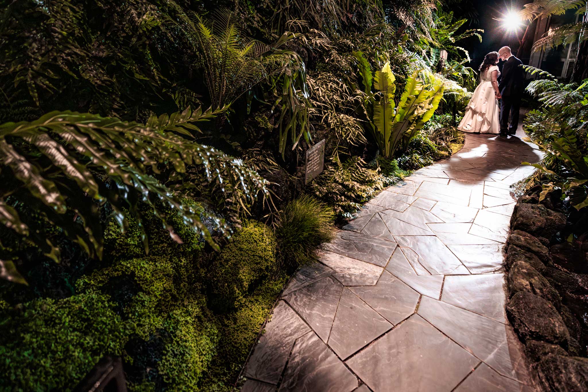A bride and groom at the end of the path in the Fern room at the Como Zoo Conservatory Wedding Reception.