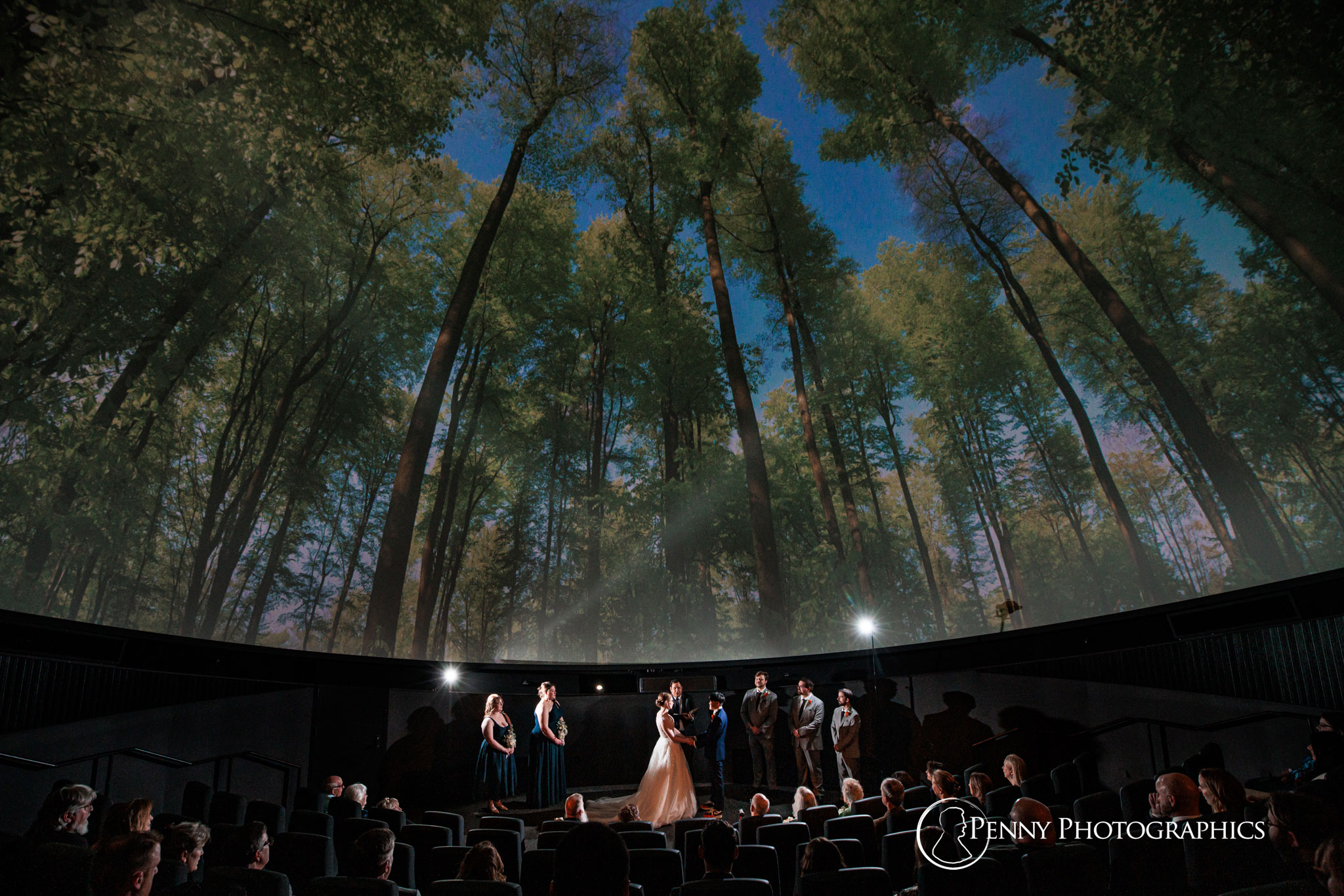 A wide view of the tree canopy in the Bell museum planetarium during wedding ceremony.