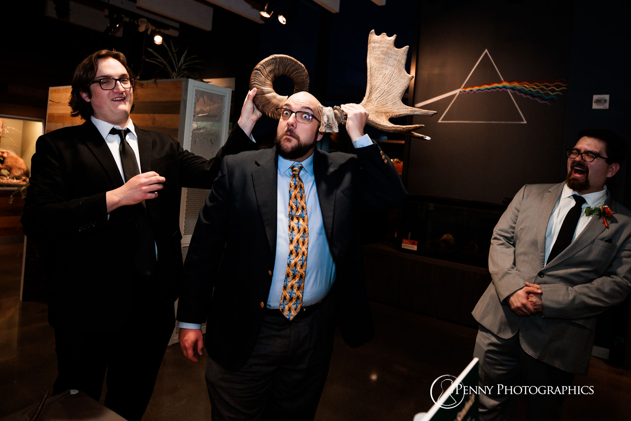 A groomsman playing with antlers in the exhibit room of the Bell Museum.