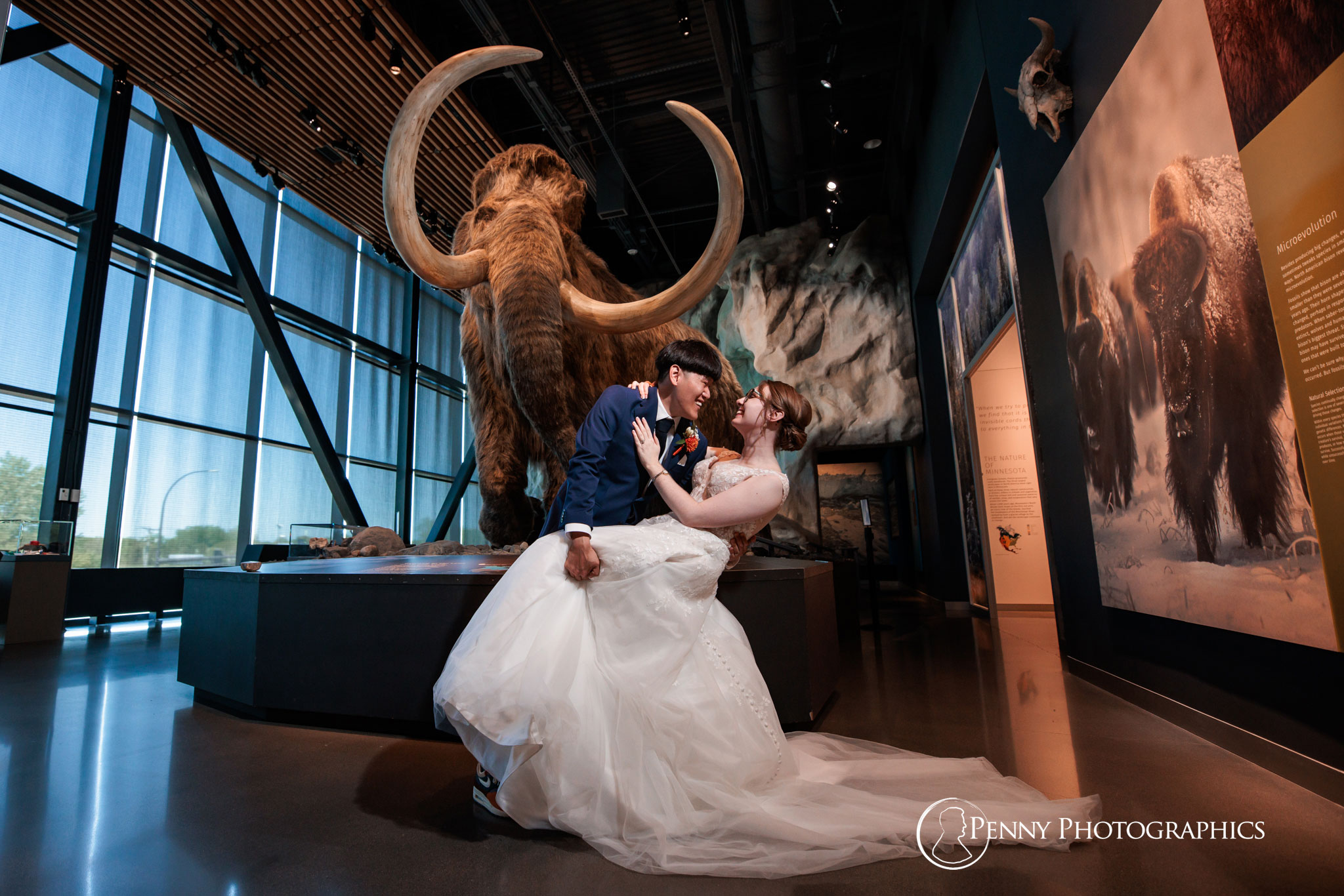 A groom dipping his bride infront of the wholly mammoth exhibit in the Bell museum in St. Paul.